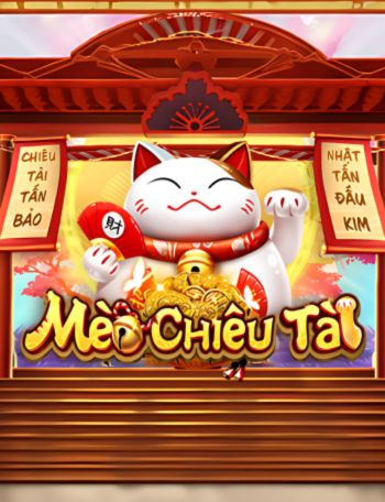 mèo chiêu tài