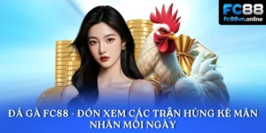 Đá gà FC88