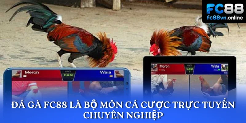 Đá gà FC88 là bộ môn cá cược trực tuyến chuyên nghiệp
